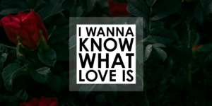 I Wanna Know What Love Is released!